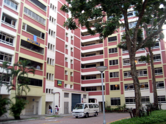 Blk 250 Pasir Ris Street 21 (Pasir Ris), HDB Executive #133672